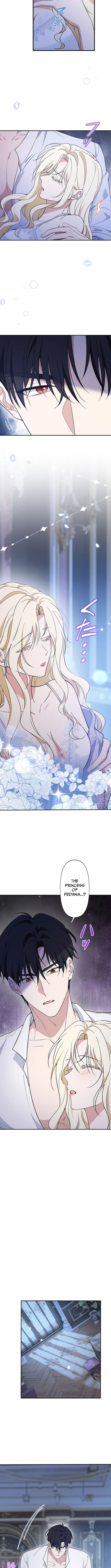 The Enemy King's Substitute Bride Chapter 02 Page 1