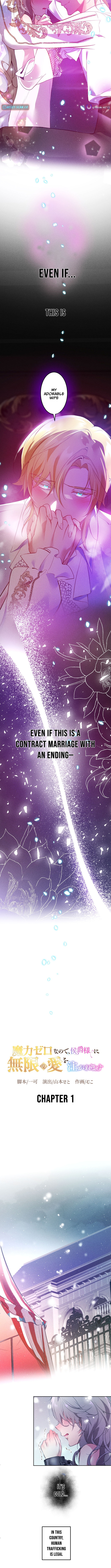 The Untalented Lady and the Marquis's Infinite Devotion Chapter 01 Page 1