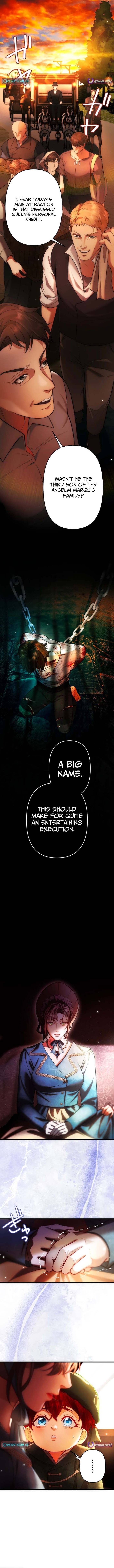 A Widowed Queen's Devotion For Love Chapter 23 Page 1