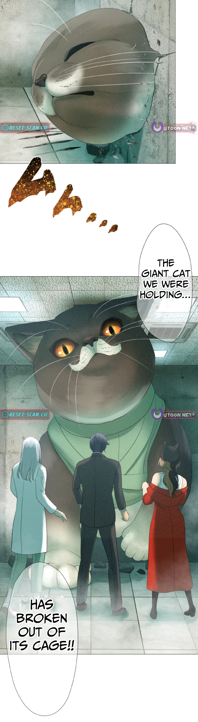 Monster Cat Punch Chapter 05 Page 1