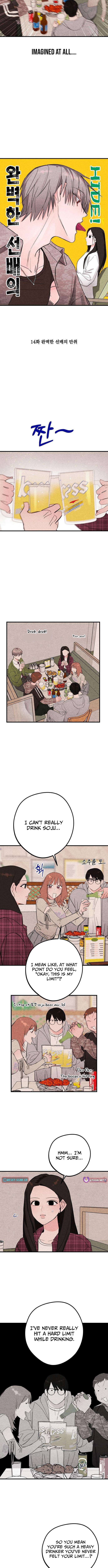 The Perfect Senior’s Secret! Chapter 14 Page 1