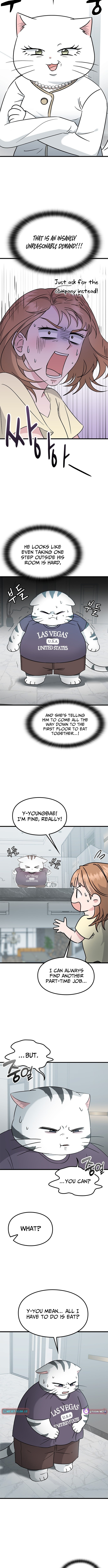 What If Everyone in the World Were a Cat? Chapter 4 Page 1
