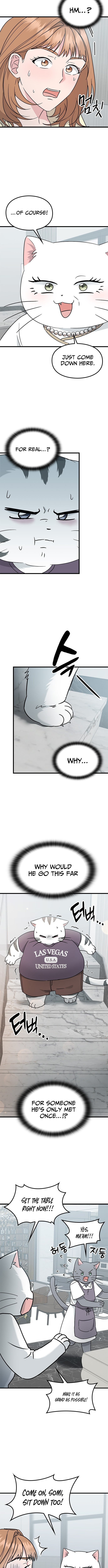 What If Everyone in the World Were a Cat? Chapter 4 Page 1
