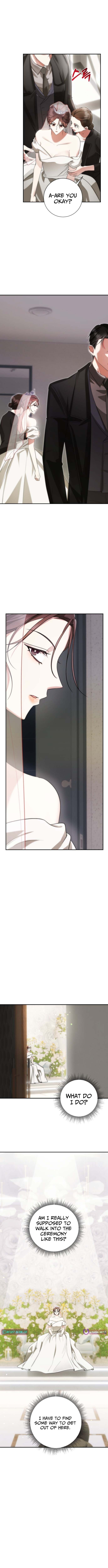 Revenge with My New Husband Chapter 2 Page 1