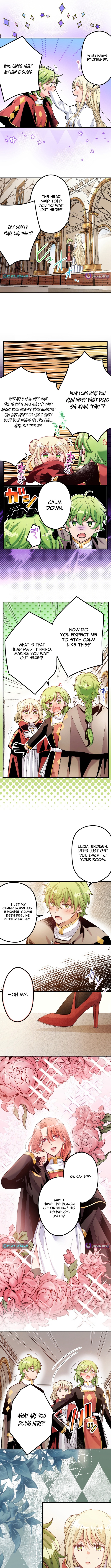 Because I'm the Unwanted Mate Chapter 5 Page 1