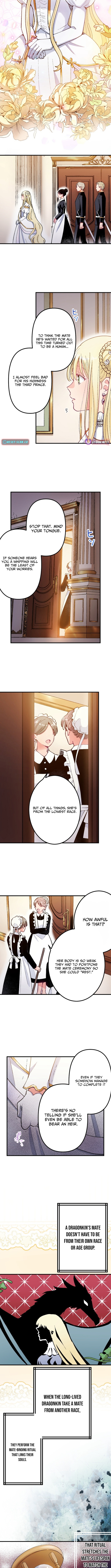 Because I'm the Unwanted Mate Chapter 1 Page 1