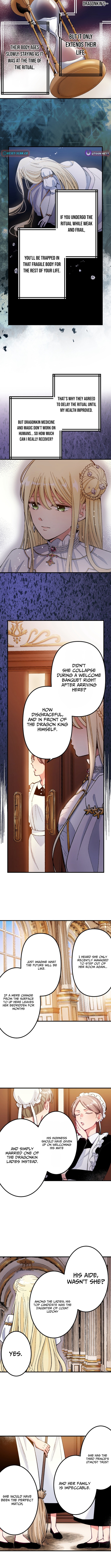 Because I'm the Unwanted Mate Chapter 1 Page 1