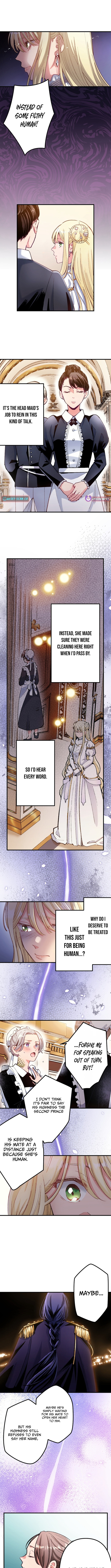 Because I'm the Unwanted Mate Chapter 1 Page 1
