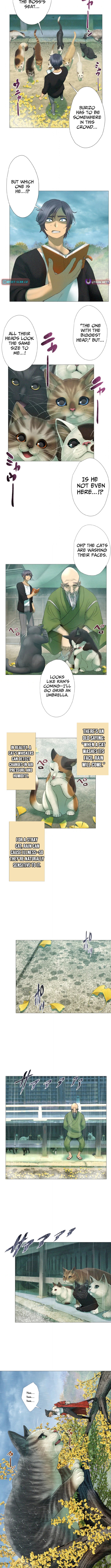 Monster Cat Punch Chapter 16 Page 1