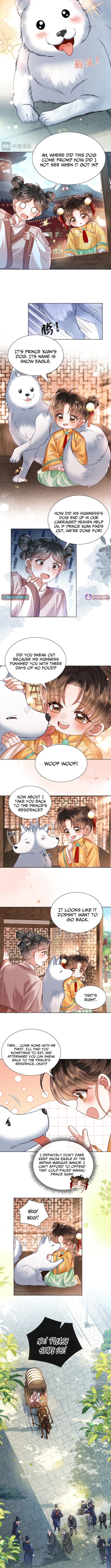 My Family's Head Is Eight Years Old! Chapter 15 Page 1