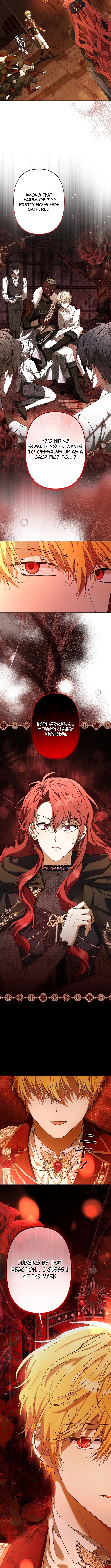 Protecting My Dangerous Handsome Brother Chapter 2 Page 1