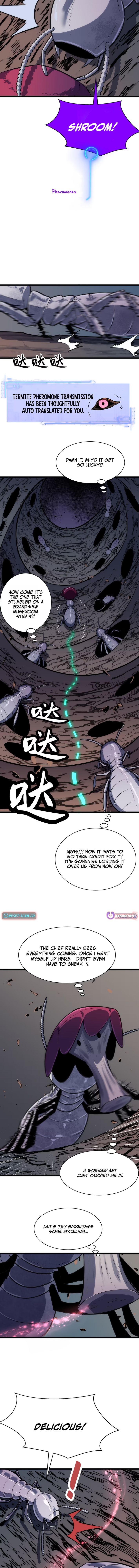 Rise of the Mushroom King Chapter 13 Page 1