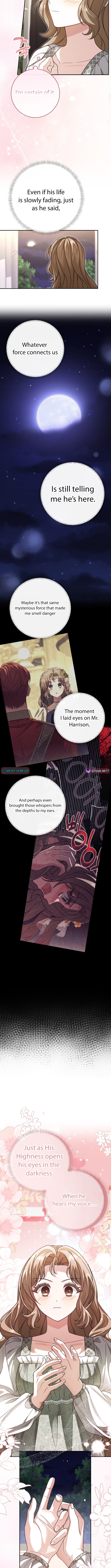Sonnet of the Dawn Chapter 29 Page 1