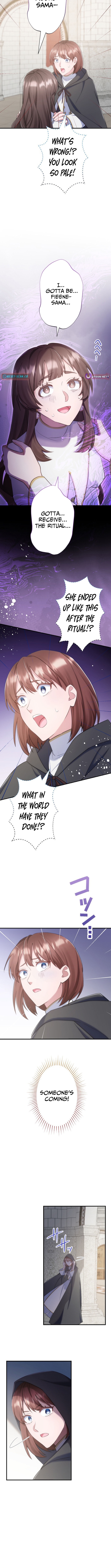 The Abandoned Great Saint Is Doted On by an Elf and Returns to Her Homeland Chapter 22 Page 1