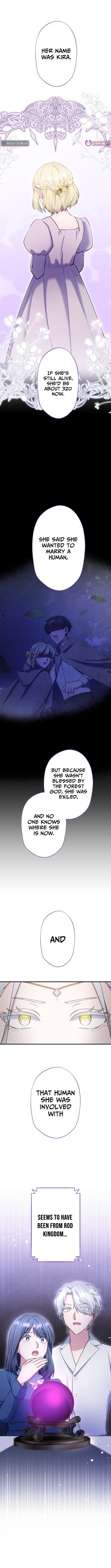 The Abandoned Great Saint Is Doted On by an Elf and Returns to Her Homeland Chapter 23 Page 1