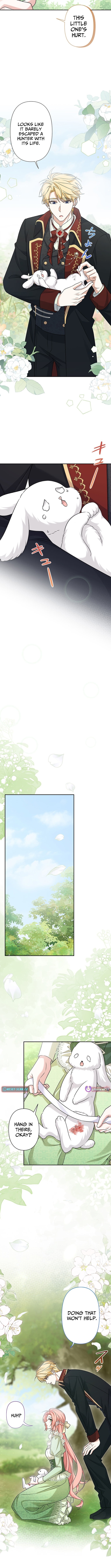 The Duchess Has Decided to Commit Adultery Chapter 14 Page 1