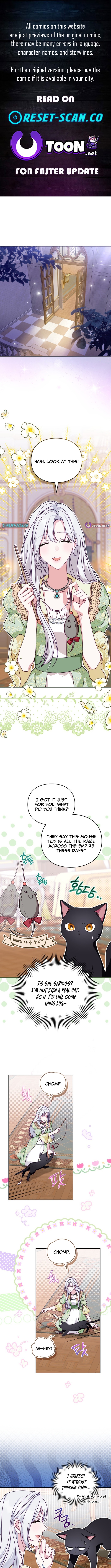 Looking for the Duchess's Husband Chapter 10 Page 1