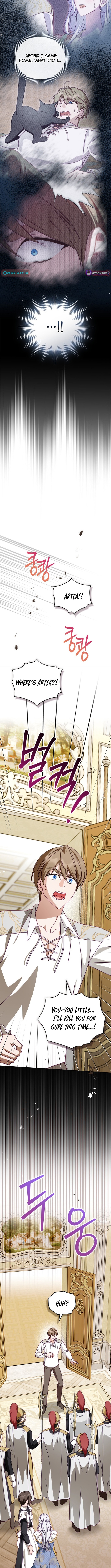 Looking for the Duchess's Husband Chapter 10 Page 1