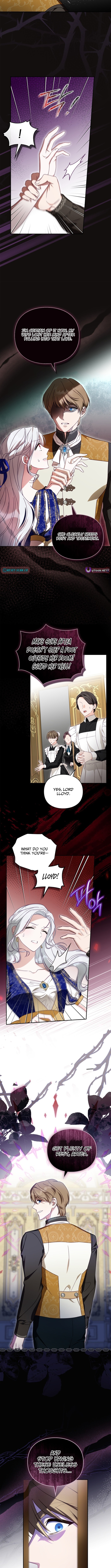 Looking for the Duchess's Husband Chapter 5 Page 1