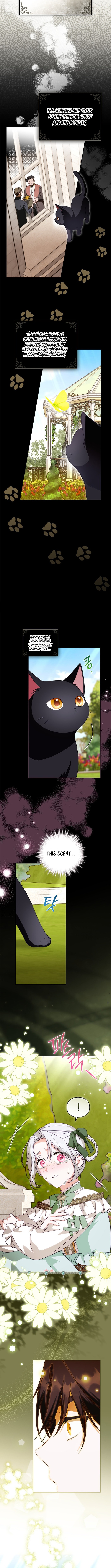 Looking for the Duchess's Husband Chapter 8 Page 1