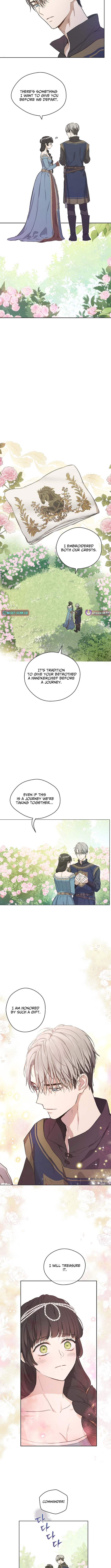 The Forgotten Field Chapter 11 Page 1
