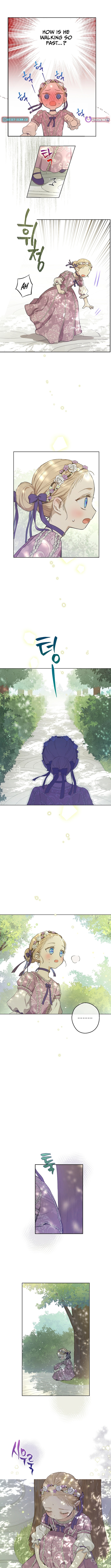 The Forgotten Field Chapter 7 Page 1
