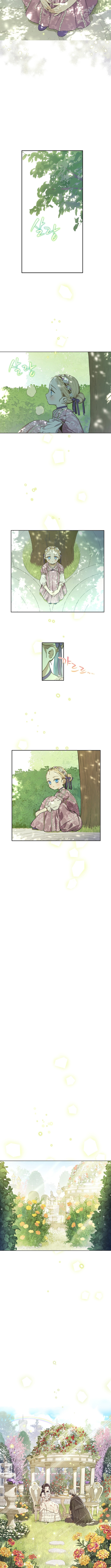The Forgotten Field Chapter 7 Page 1