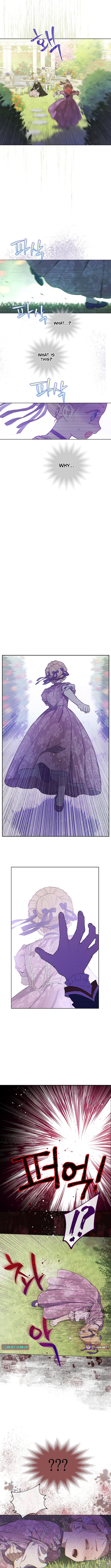 The Forgotten Field Chapter 7 Page 1