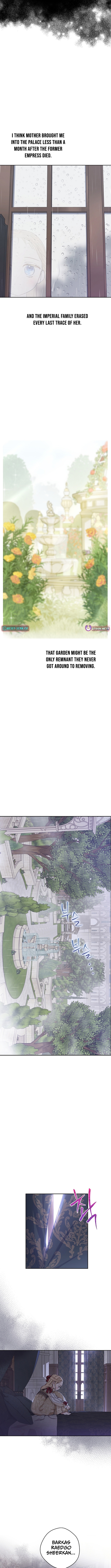 The Forgotten Field Chapter 8 Page 1