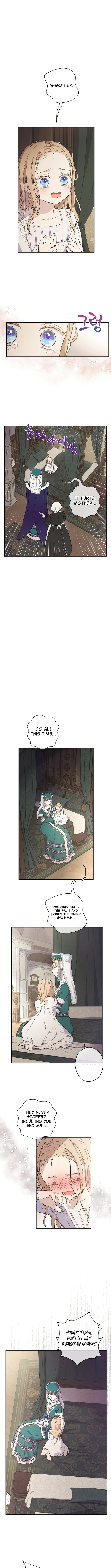 The Forgotten Field Chapter 8 Page 1