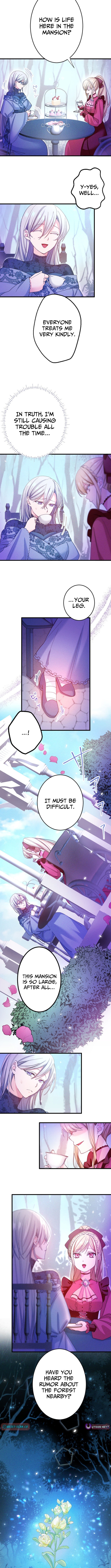 The Ice Saintess Has Yet to Learn Her Knight's Devotion Chapter 8 Page 1