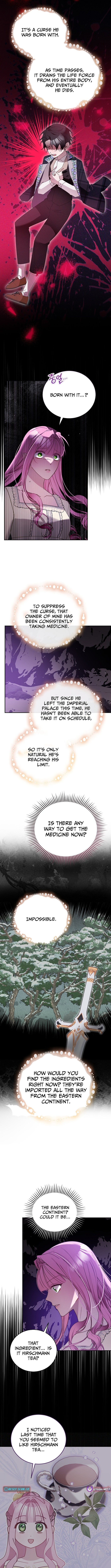 The Princess Hides Zombies Chapter 39 Page 1