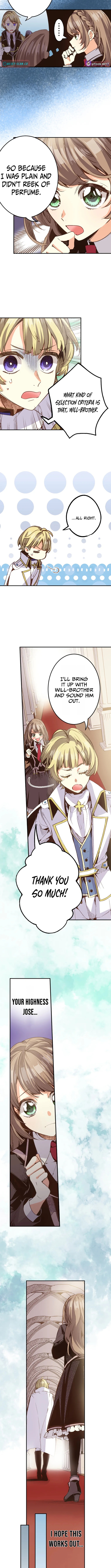 The Small Animal Chapter Type Lady Is Doted On by the Ice Prince - Chapter 10 Page 1