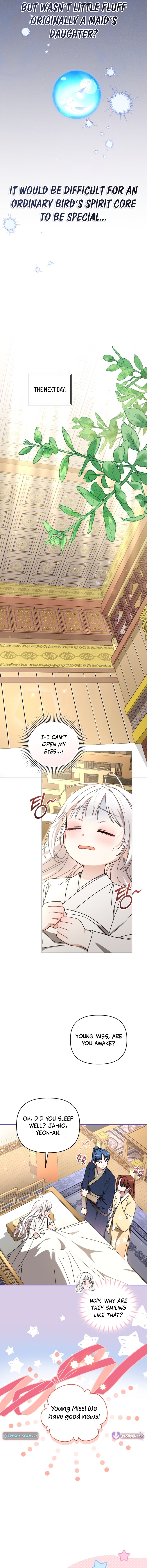 The White Tiger Clan's Baby Cotton Ball Chapter 24 Page 1