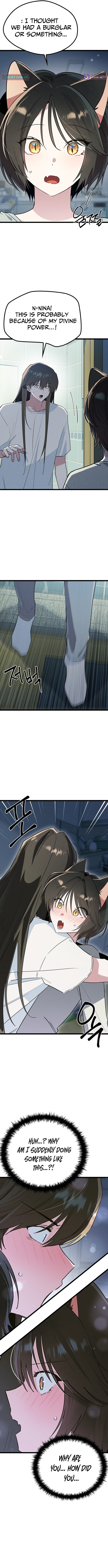 Twelve Zodiac Girls Chapter 47 Page 1