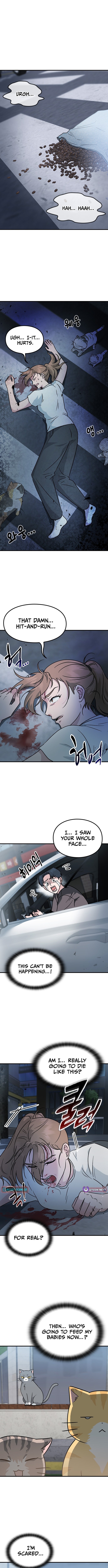 What If Everyone in the World Were a Cat? Chapter 1 Page 1
