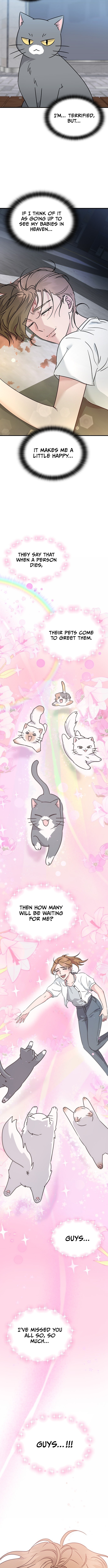 What If Everyone in the World Were a Cat? Chapter 1 Page 1