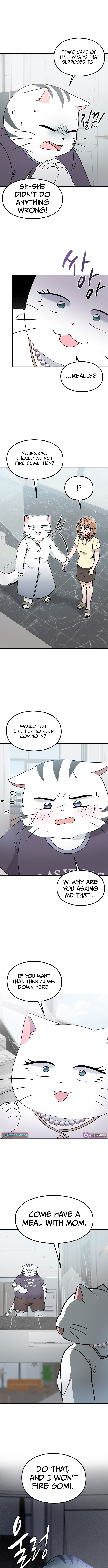 What If Everyone in the World Were a Cat? Chapter 3 Page 1