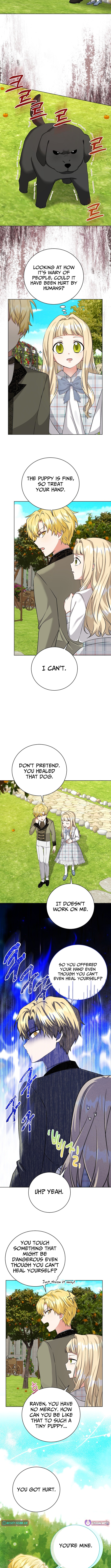 Running an Illegal Veterinary Hospital in Another World Chapter 07 Page 1