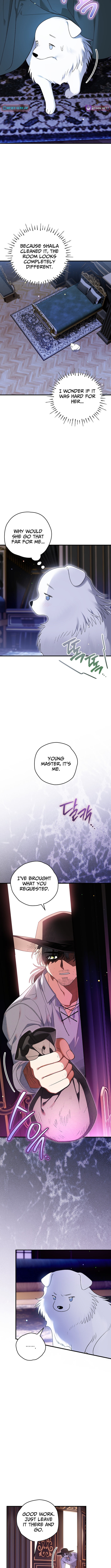 To My Beloved Wolf Chapter 05 Page 1