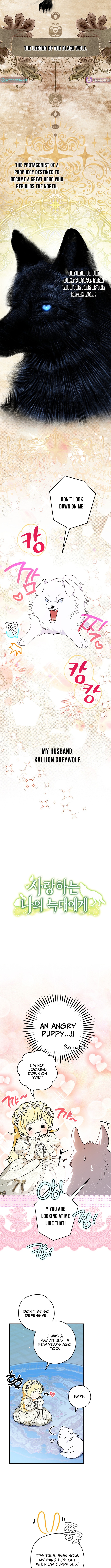 To My Beloved Wolf Chapter 02 Page 1