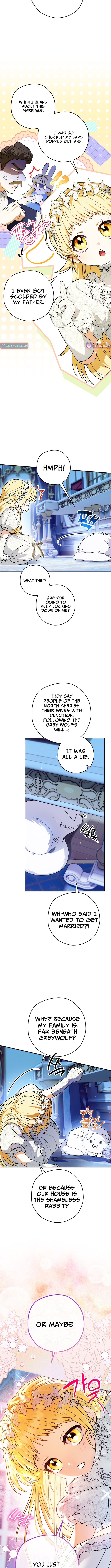 To My Beloved Wolf Chapter 02 Page 1