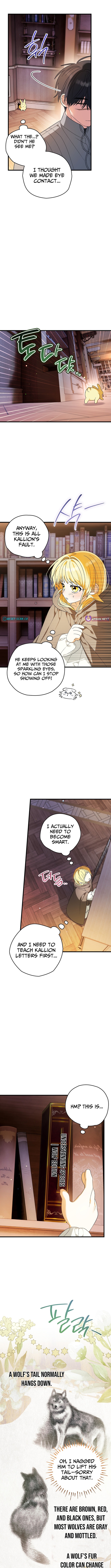 To My Beloved Wolf Chapter 09 Page 1