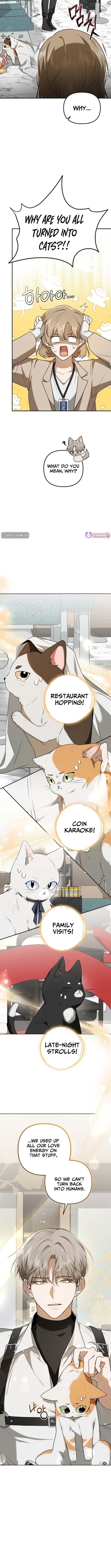 From Today, I Became the Butler of Five Men Chapter 01 Page 1