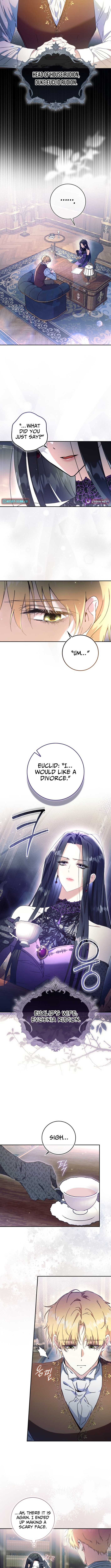 My Husband Is My Ultimate Bias, But I Feel Like I'm About to Be Divorced Chapter 01 Page 1