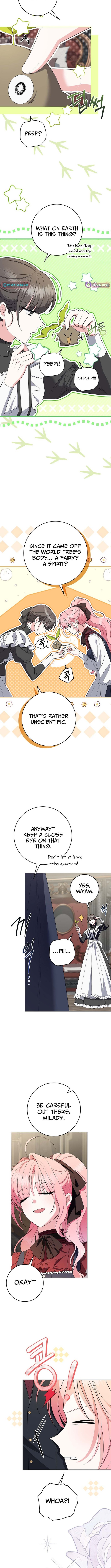 I Became the World Tree’s Beloved Gardener Chapter 08 Page 1
