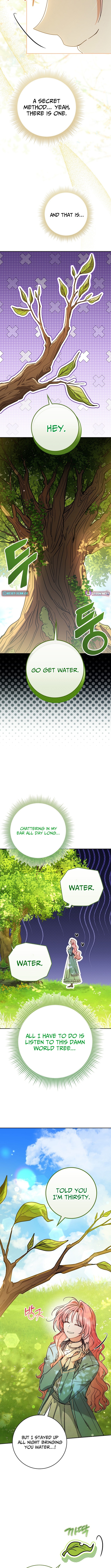 I Became the World Tree’s Beloved Gardener Chapter 01 Page 1
