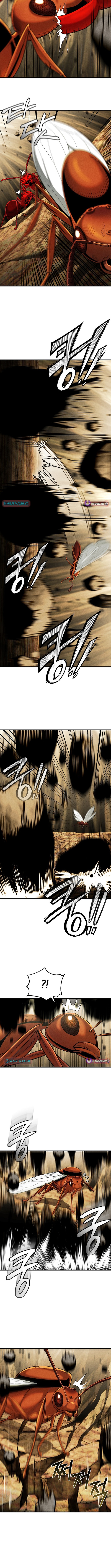 Empire of the Ants Chapter 08 Page 1