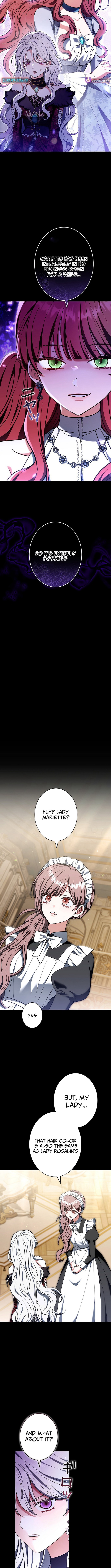 I Was Supposed to Be a Stalker Noble Lady, but Somehow I'm Being Adored Instead Chapter 17 Page 1