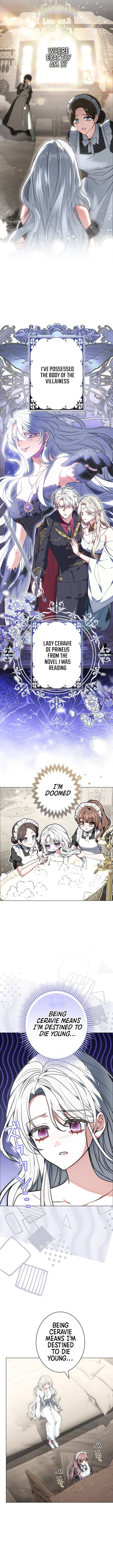 I Was Supposed to Be a Stalker Noble Lady, but Somehow I'm Being Adored Instead Chapter 01 Page 1
